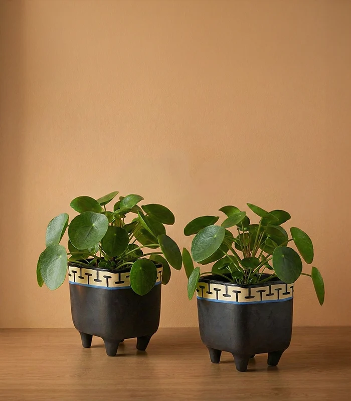 Sqaure Planter 2