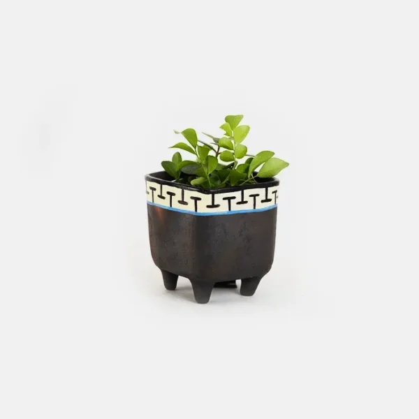 Sqaure Planter