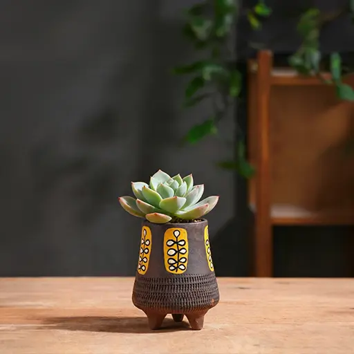 Planter-cover-banner - handcrafted terracotta by Pipihiri