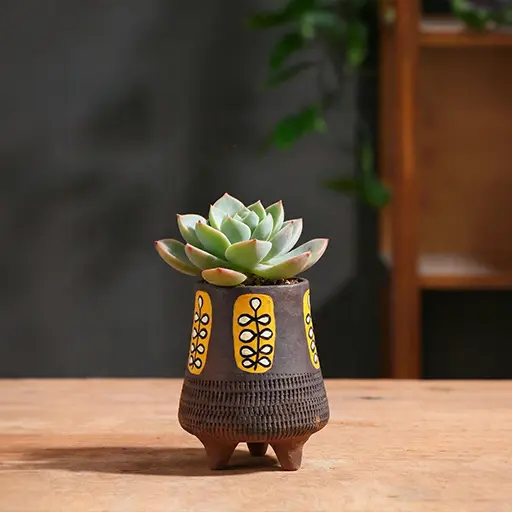 Handcrafted terracotta planters